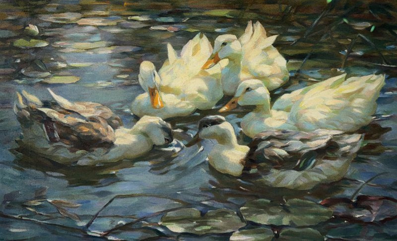 Koester Alexander - Else Eckhard - Fünf Enten im Teich