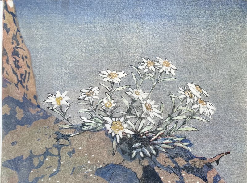 Moser Carl - Edelweiss