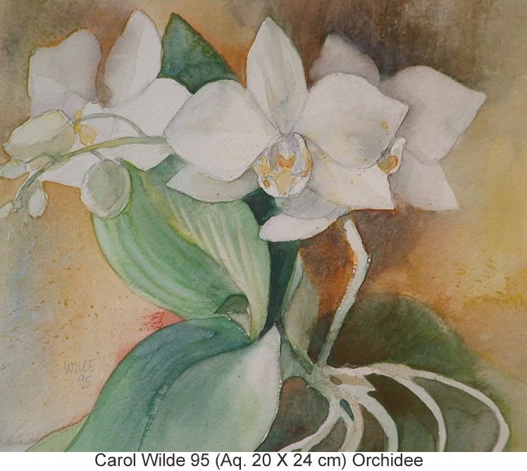 Wilde Carol - Orchidee