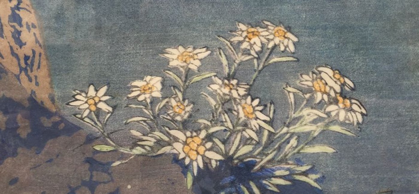 Moser Carl 1933 - Edelweiss