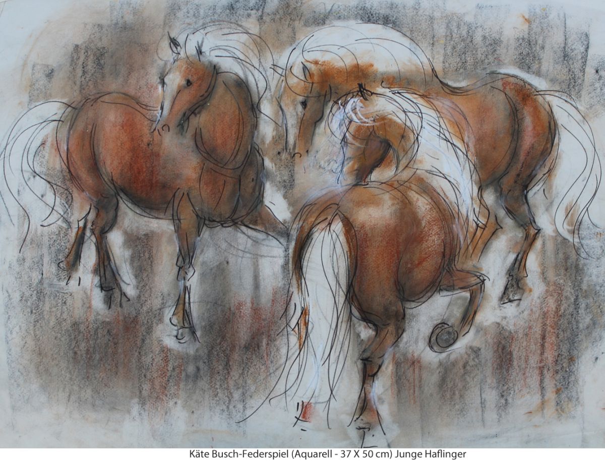 Busch-Federspiel Käte - Junge Haflinger Busch-Federspiel Käte - Junge Haflinger
