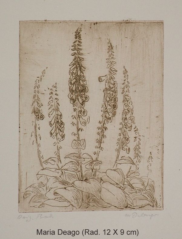 Delago Maria - Blumen
