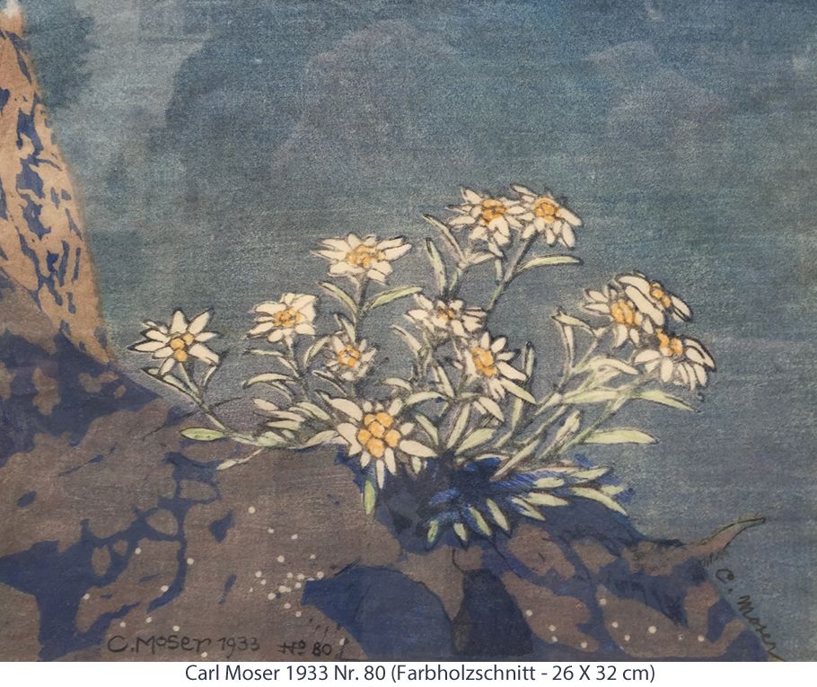 Moser Carl 1933 - Edelweiss