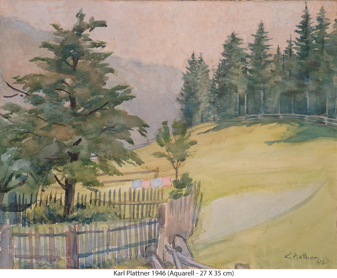Plattner Karl 1946 - Lattenzaun