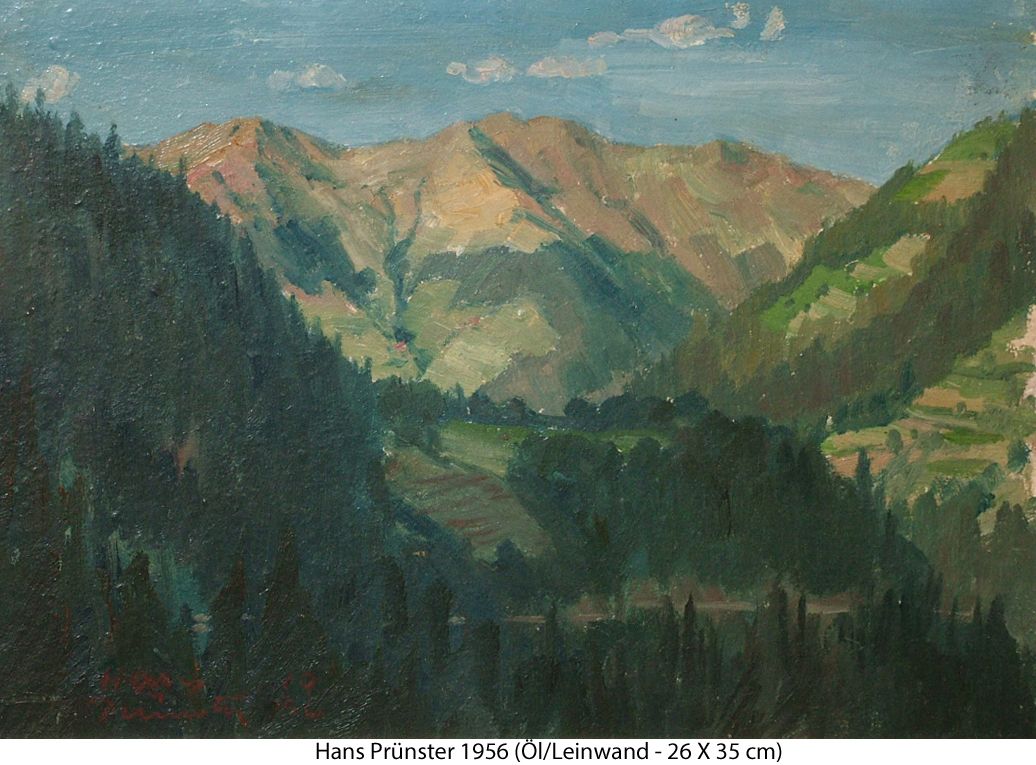 Prünster Hans - Landschaft