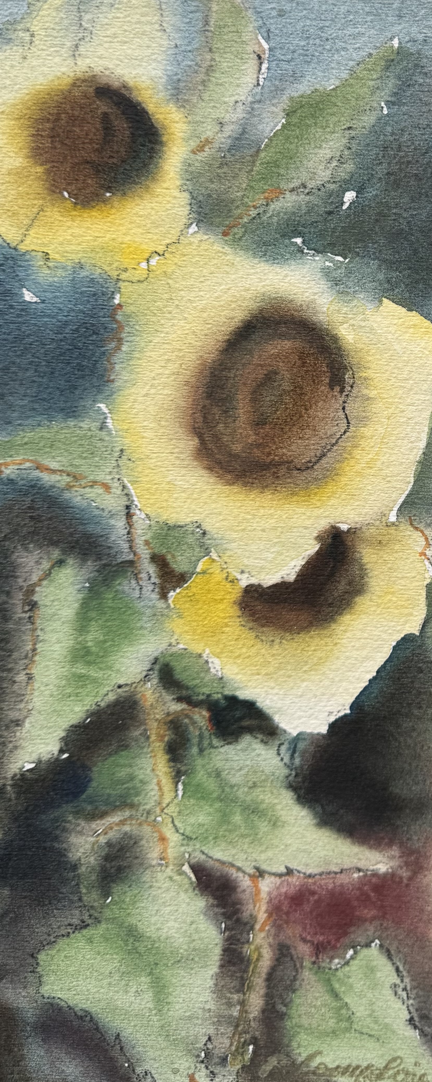 Complojer Rudolf sen. - Sonnenblumen