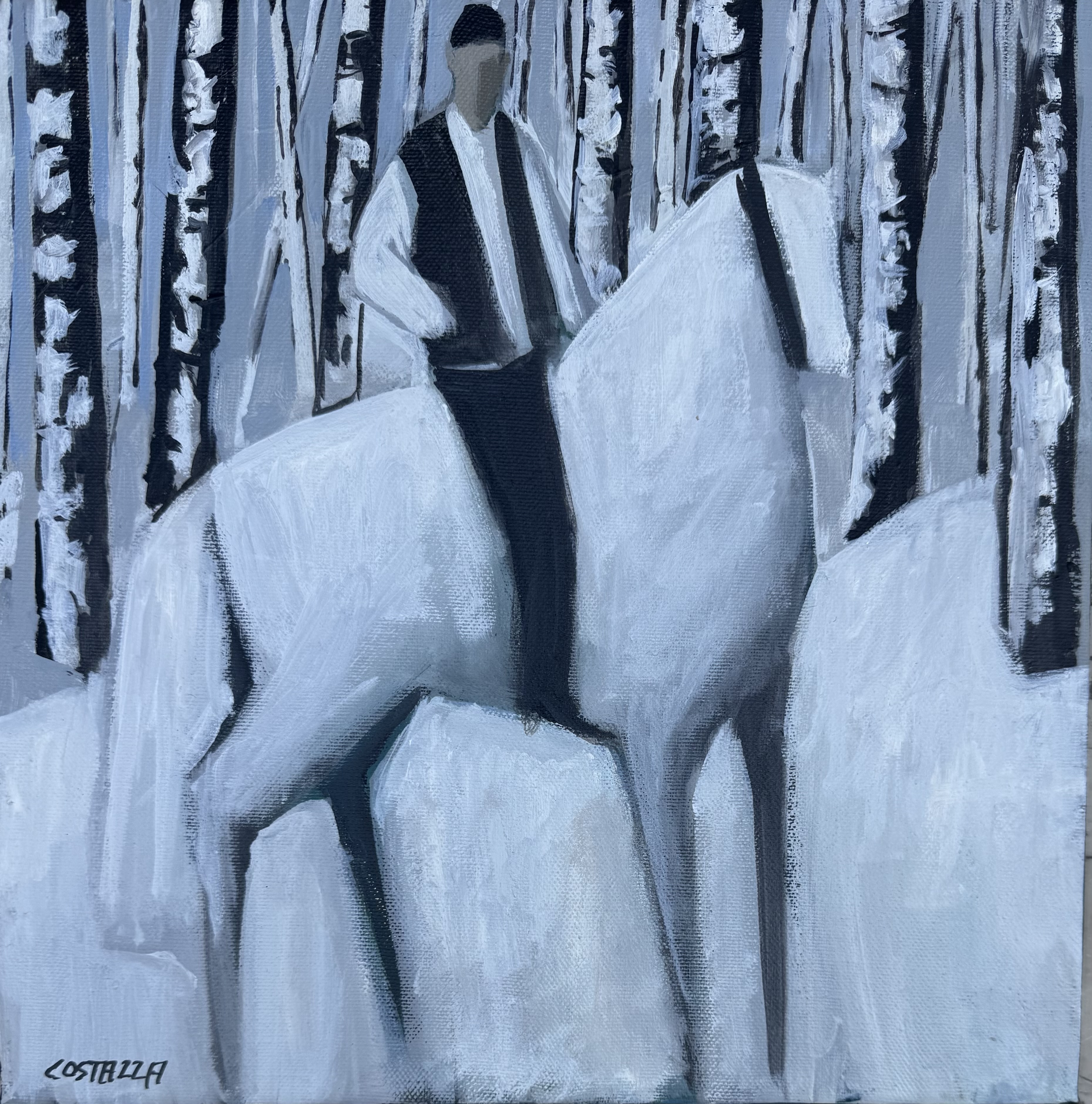 Costaza Josef - Ausritt im Schnee