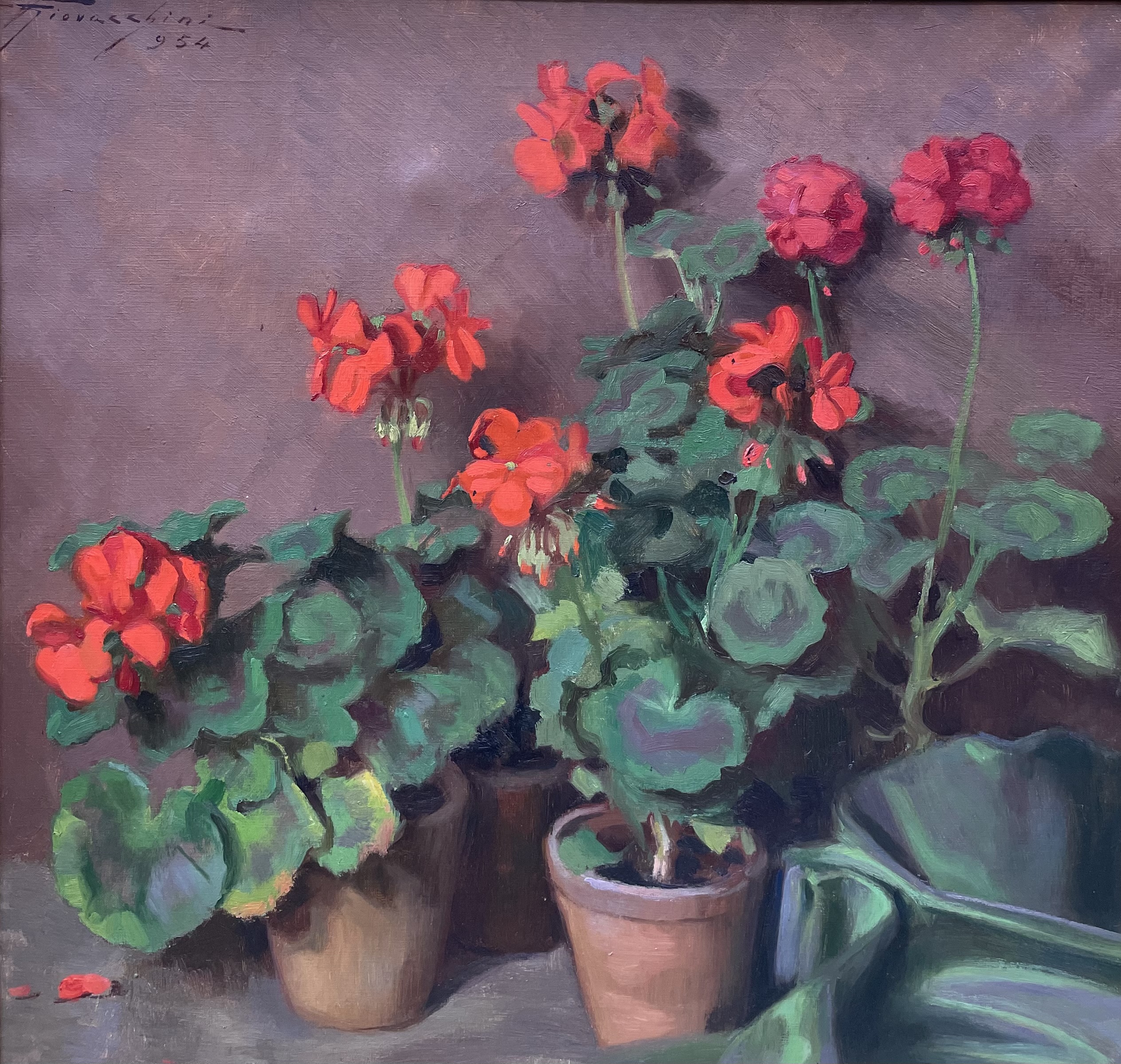 Giovacchini Ulderico - Geranien