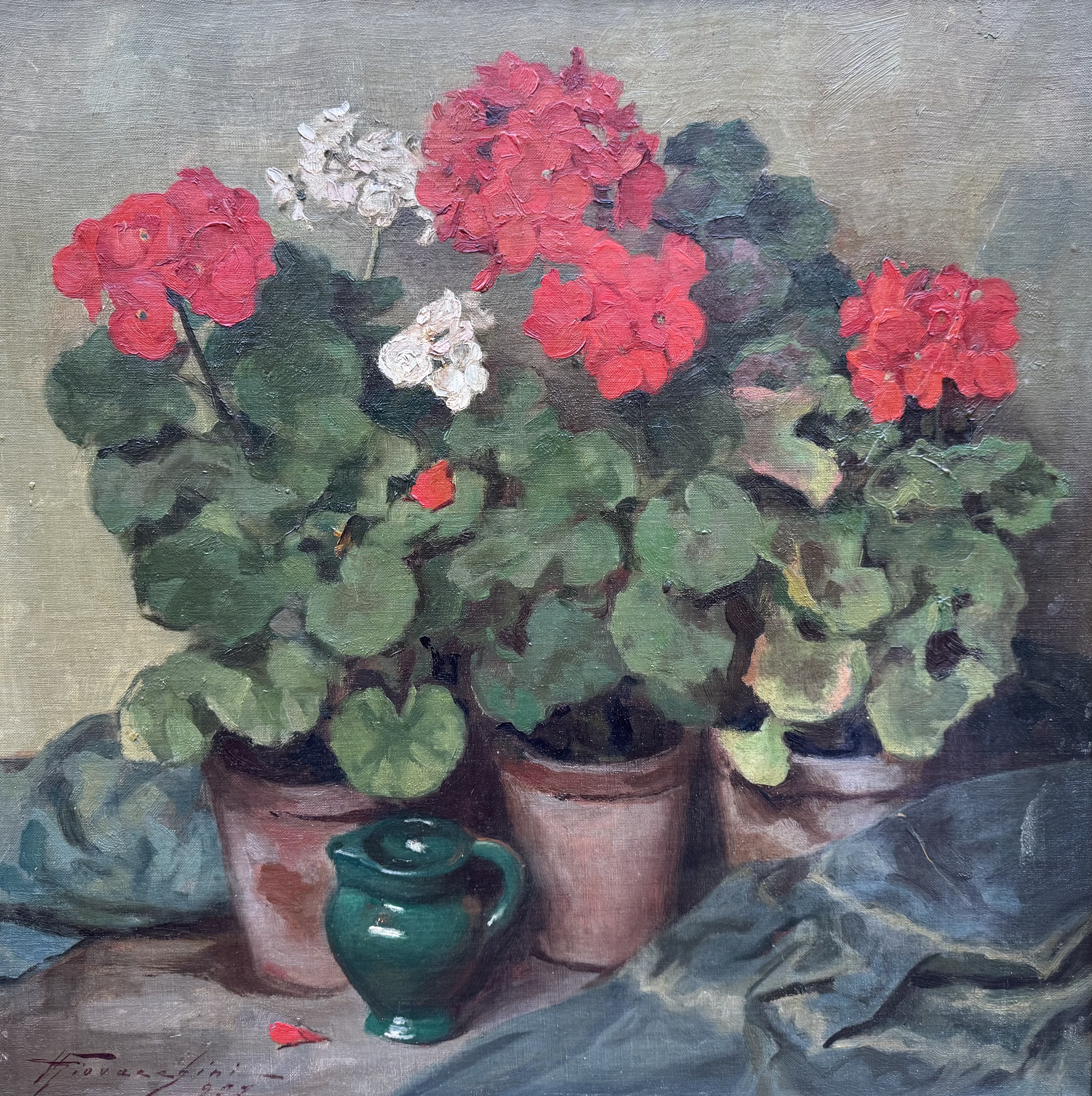 Giovacchini Ulderico - Geranien