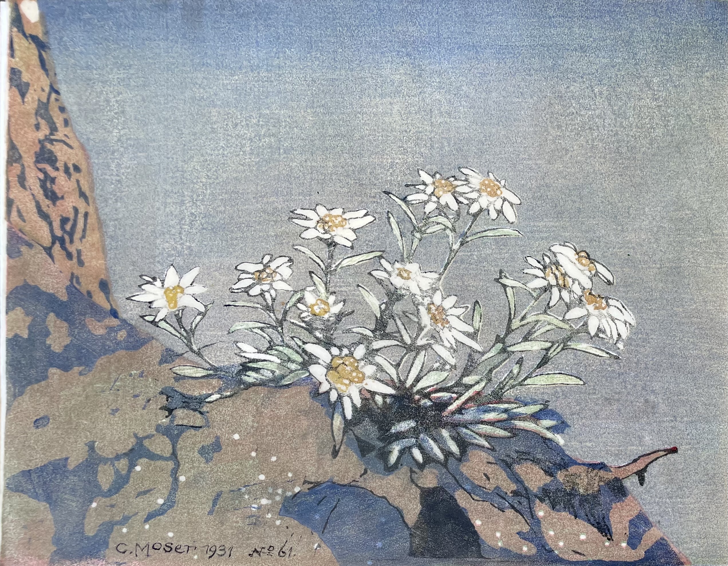 Moser Carl - Edelweiss