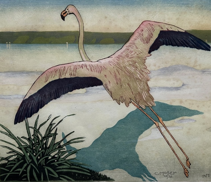 Moser Carl - Flamingo