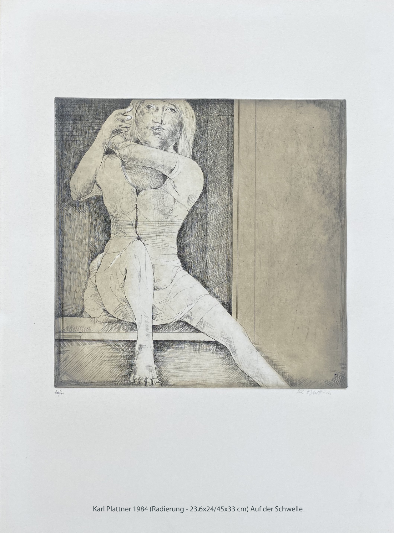 Karl Plattner - Auf der Schwelle