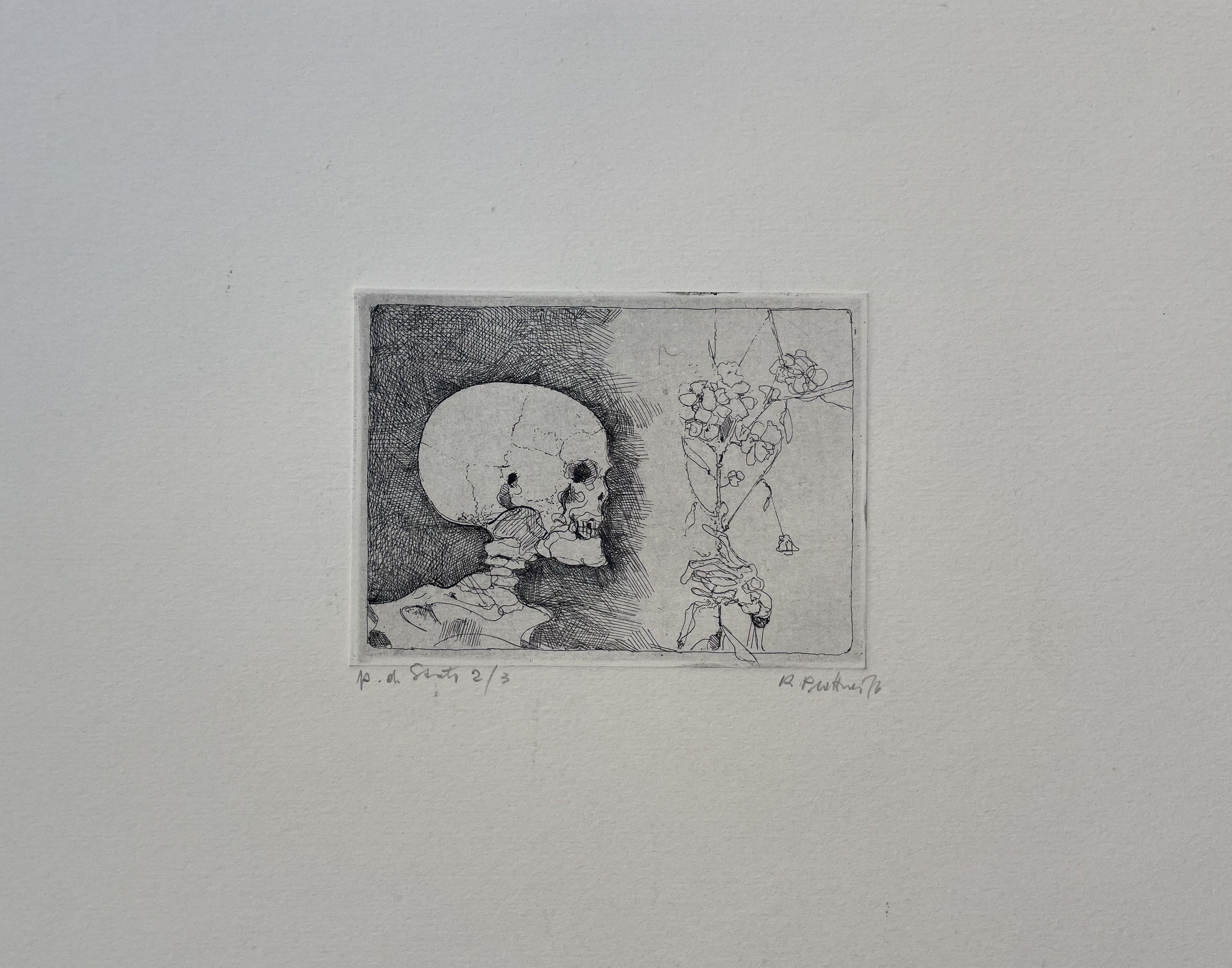 Plattner Karl - Totenkopf mit Blume