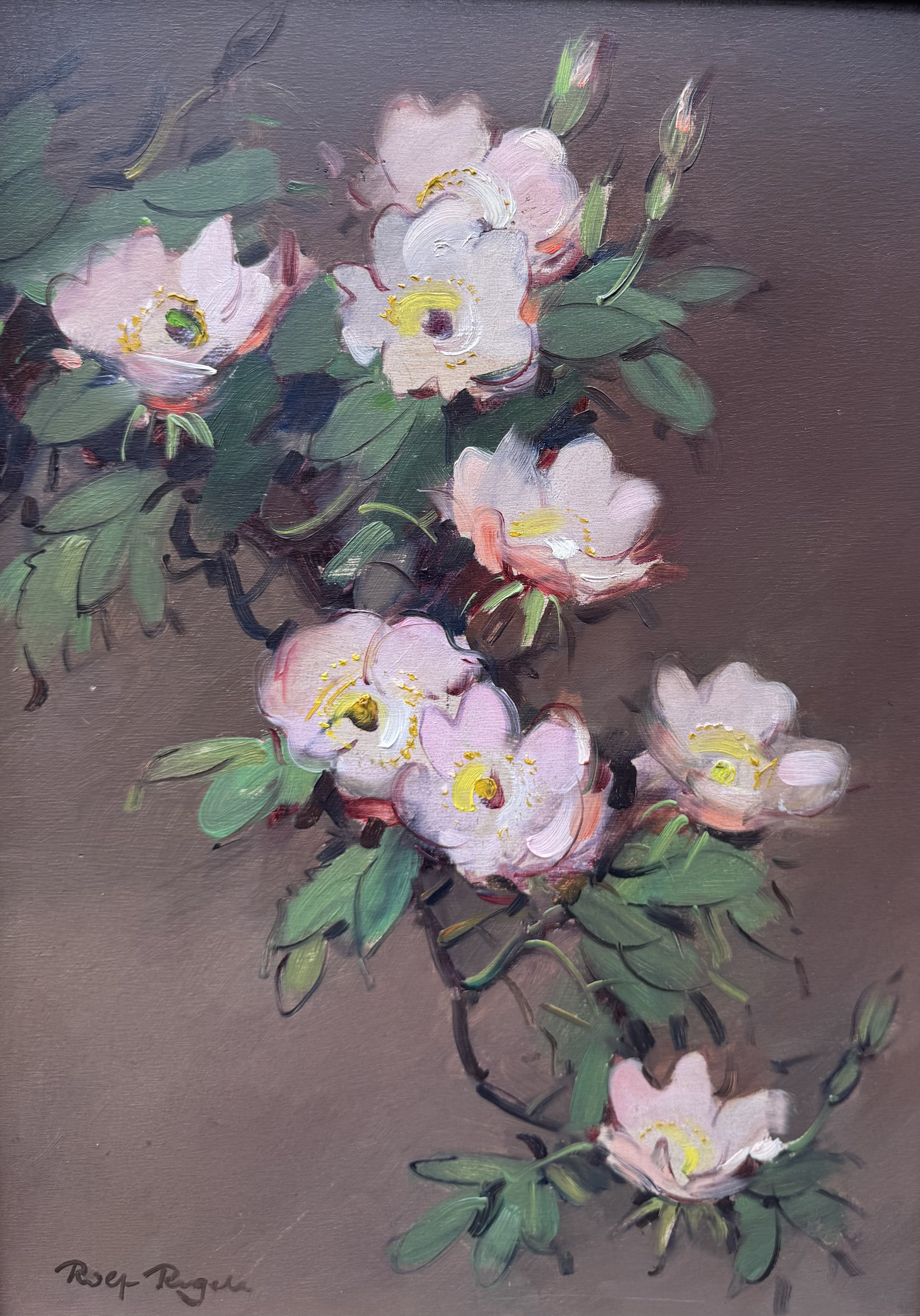 Regele Rolf - Mandelblüten