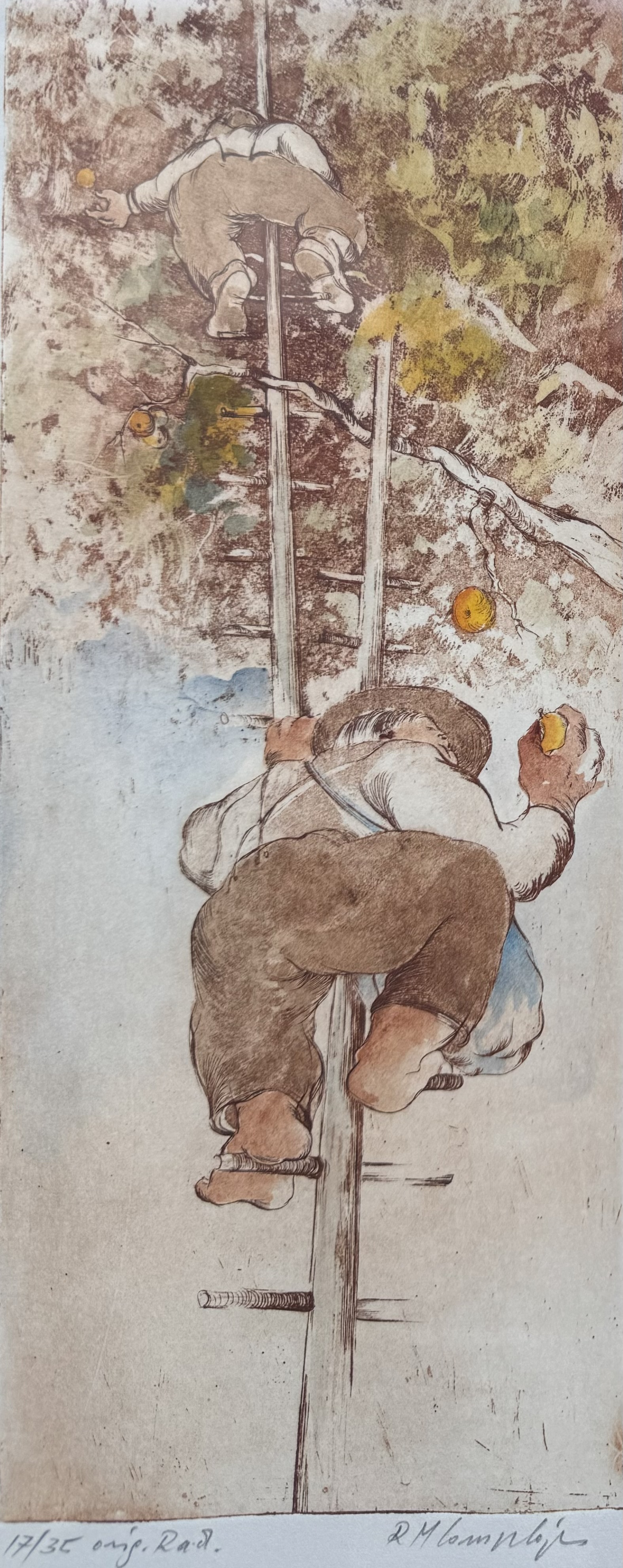 Rudolph Maria Complojer - Äpfelklauber