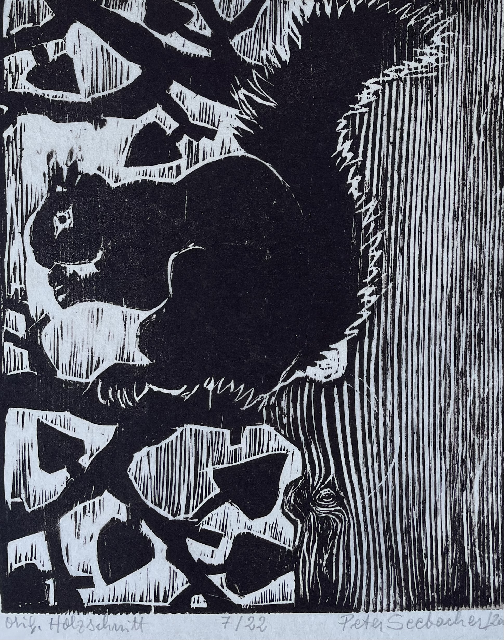Seebacher Peter - Das Eichhörnchen
