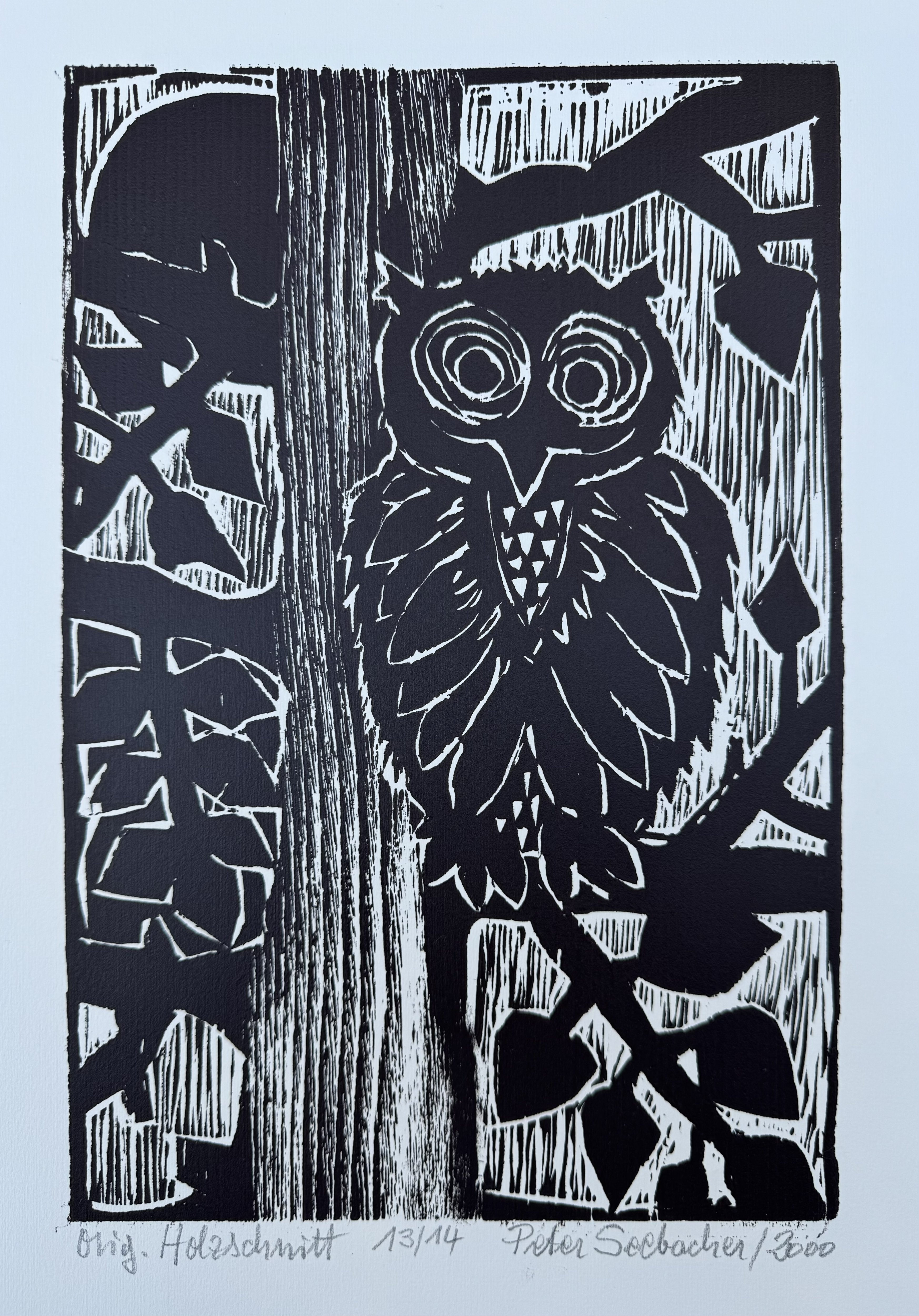 Seebacher Peter - Eule im Baum