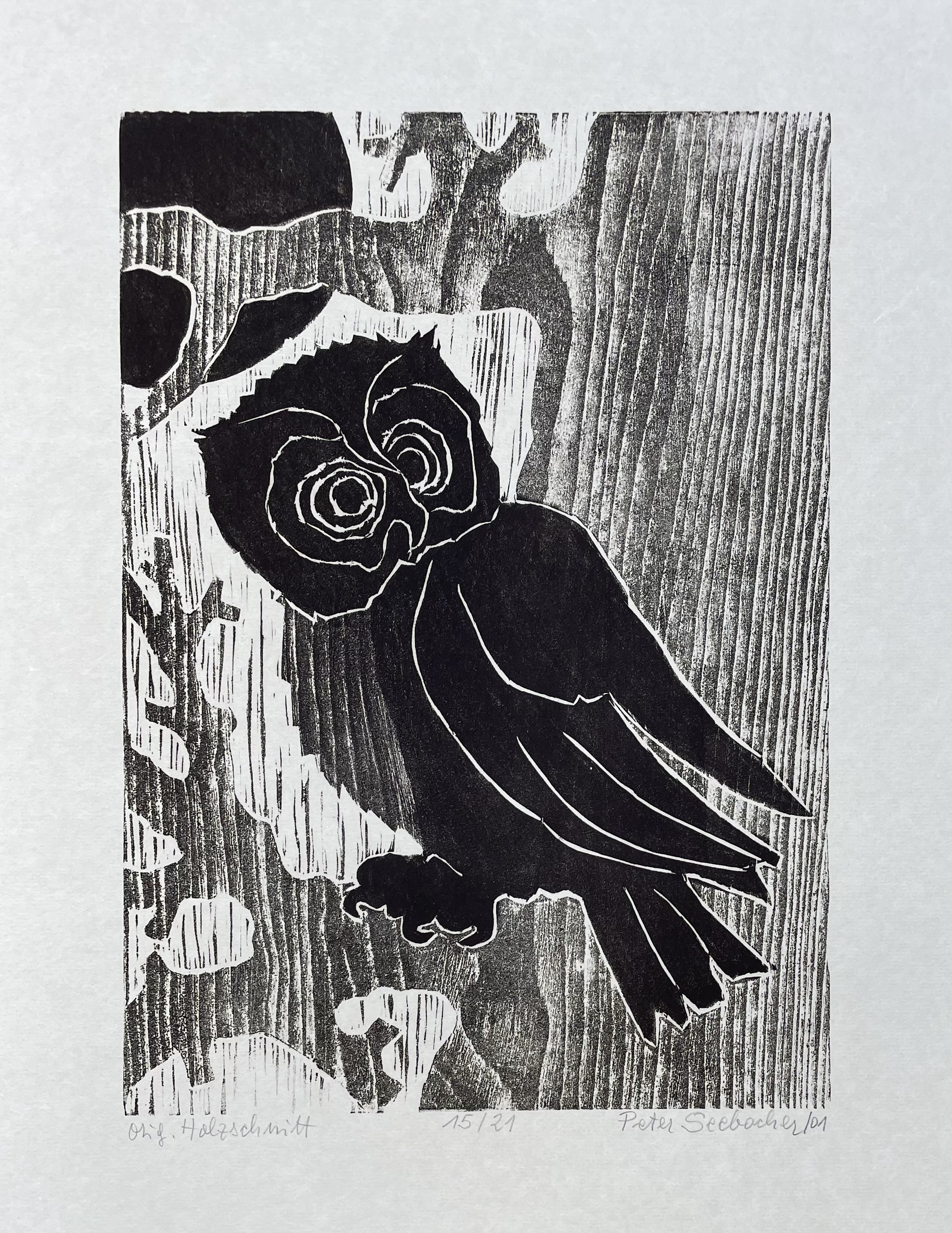 Seebacher Peter - Eule monochrom