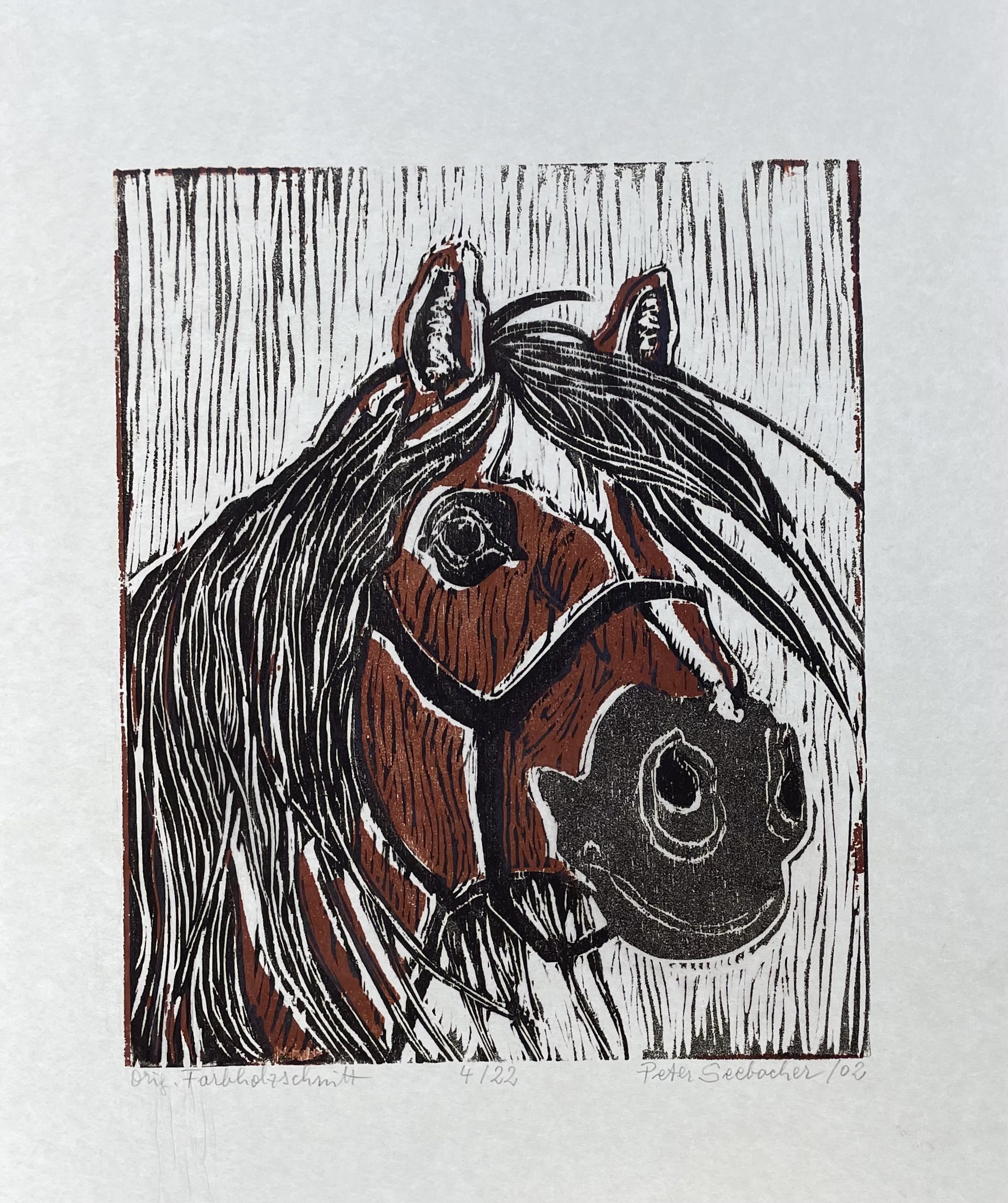 Seebacher Peter - Haflinger