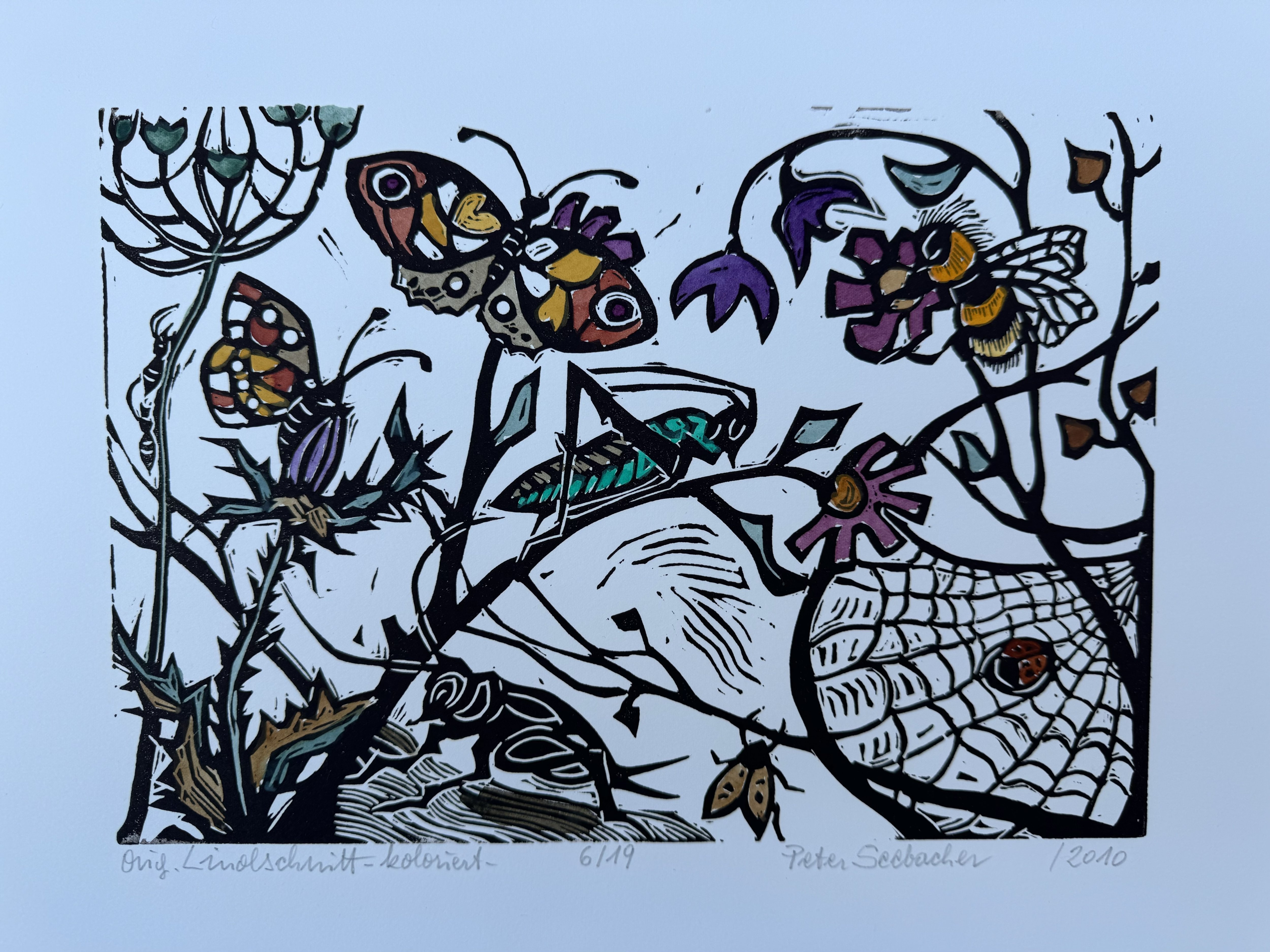 Seebacher Peter - Insekten