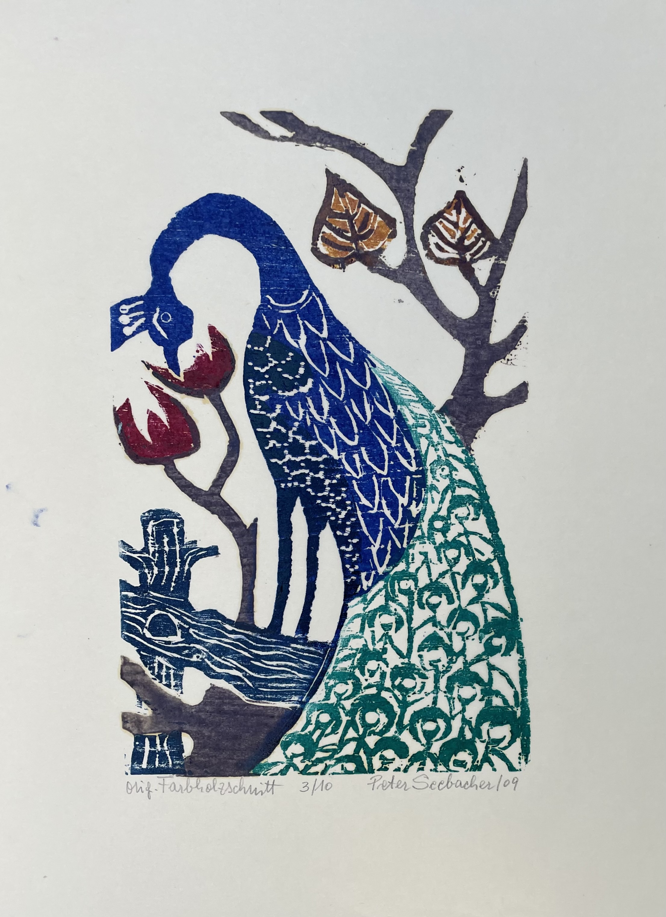 Seebacher Peter - Pfau II