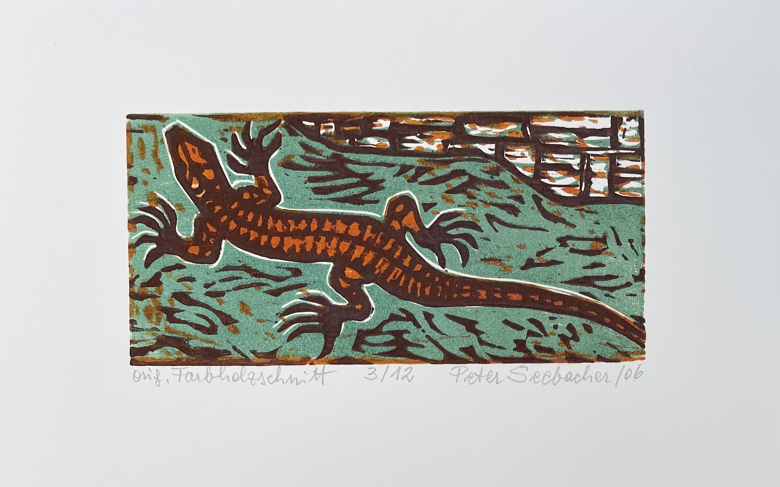 Seebacher Peter - Salamander