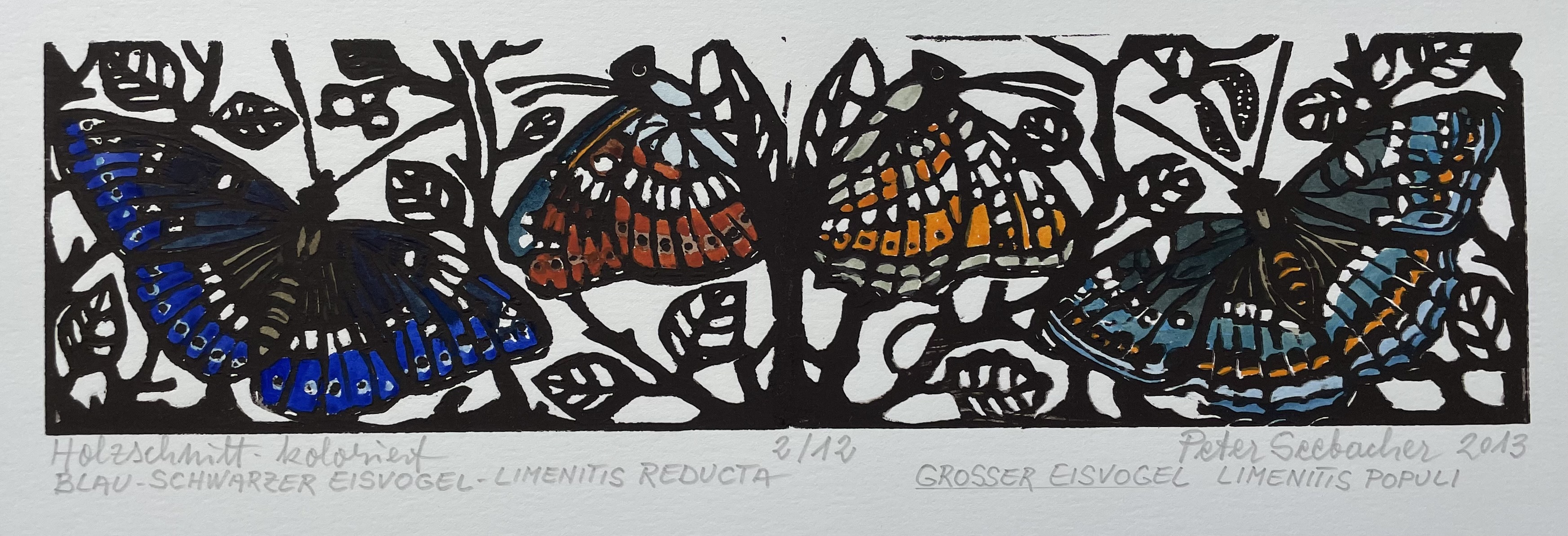 Seebacher Peter - Schmetterling Blau Grün