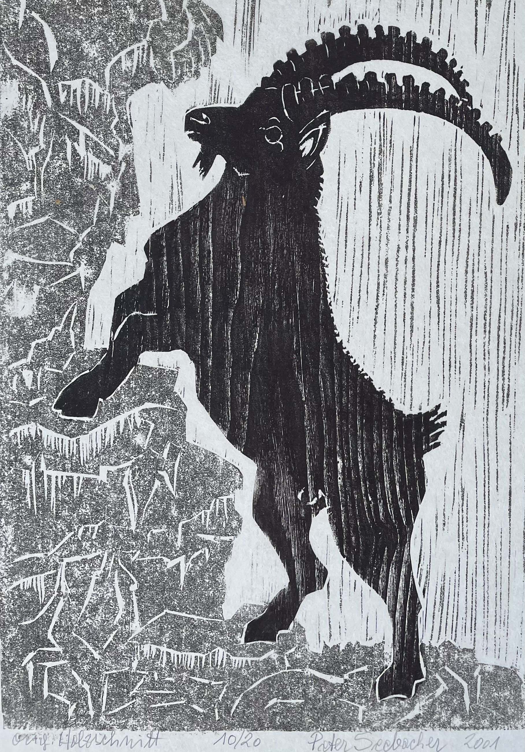 Seebacher Peter - Steinbock