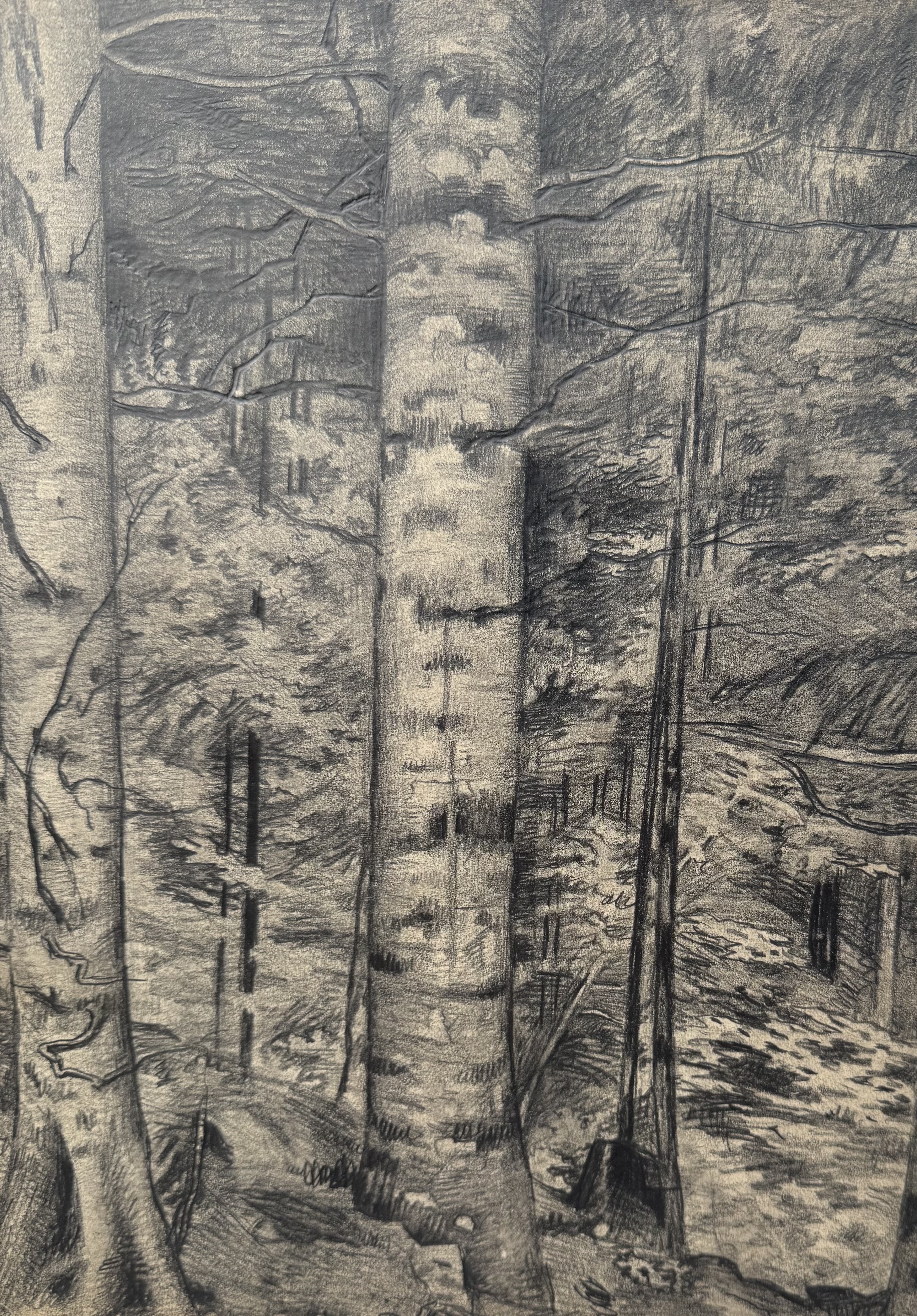 Wolff Richard - Kohlerer Wald