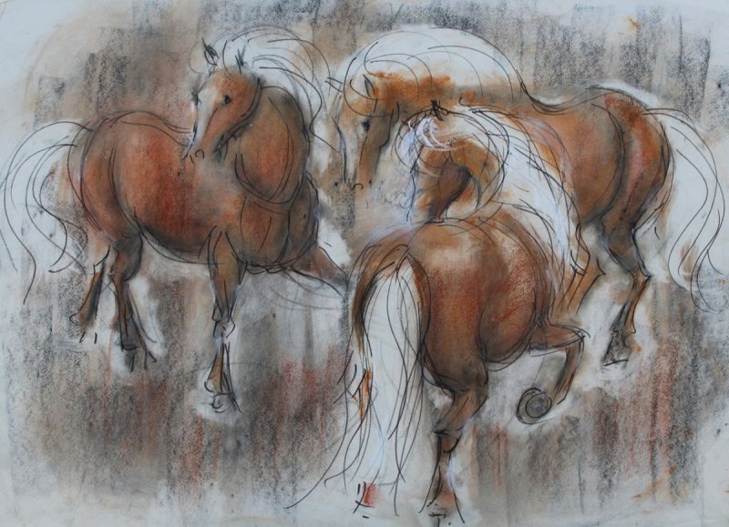 Busch-Federspiel Käte - Junge Haflinger