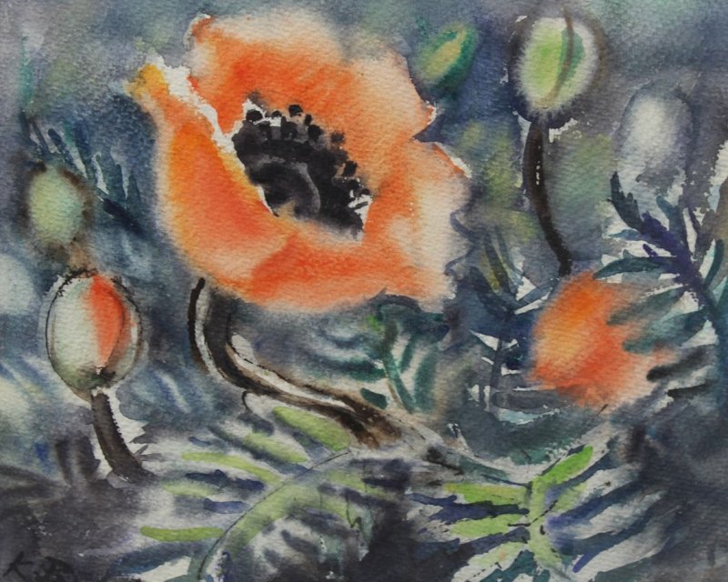 Busch-Federspiel Käte - Mohnblumen