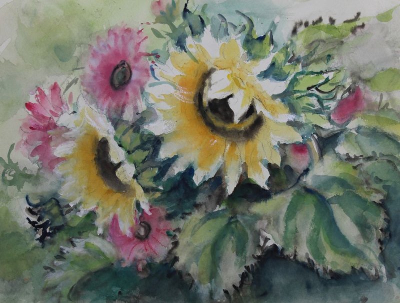Busch-Federspiel Käte - Sonnenblume