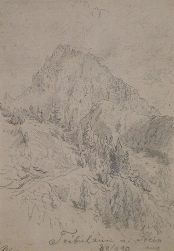 Gatt Ferdinand (Tribulaun von Stein aus)