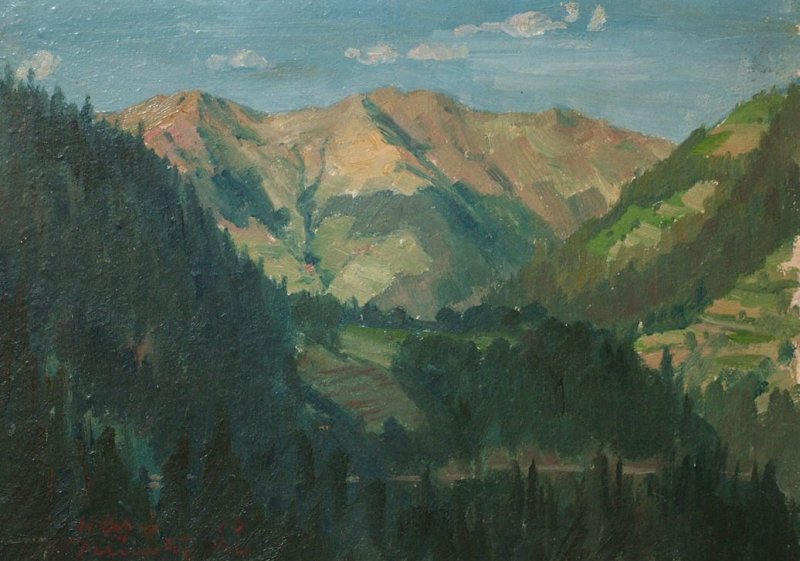 Prünster Hans - Landschaft