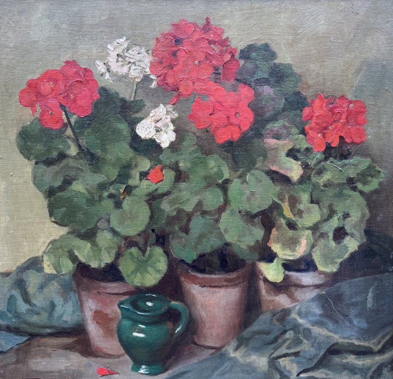 Giovacchini Ulderico - Geranien