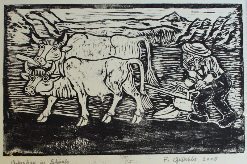 Gurschler Friedrich - Ackerbau in Schnals