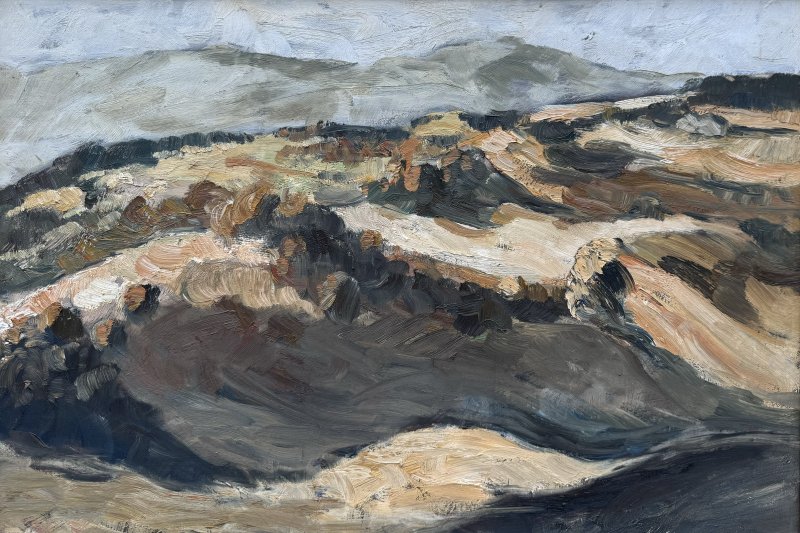Moroder Roland - Almlandschaft oberhalb Seis