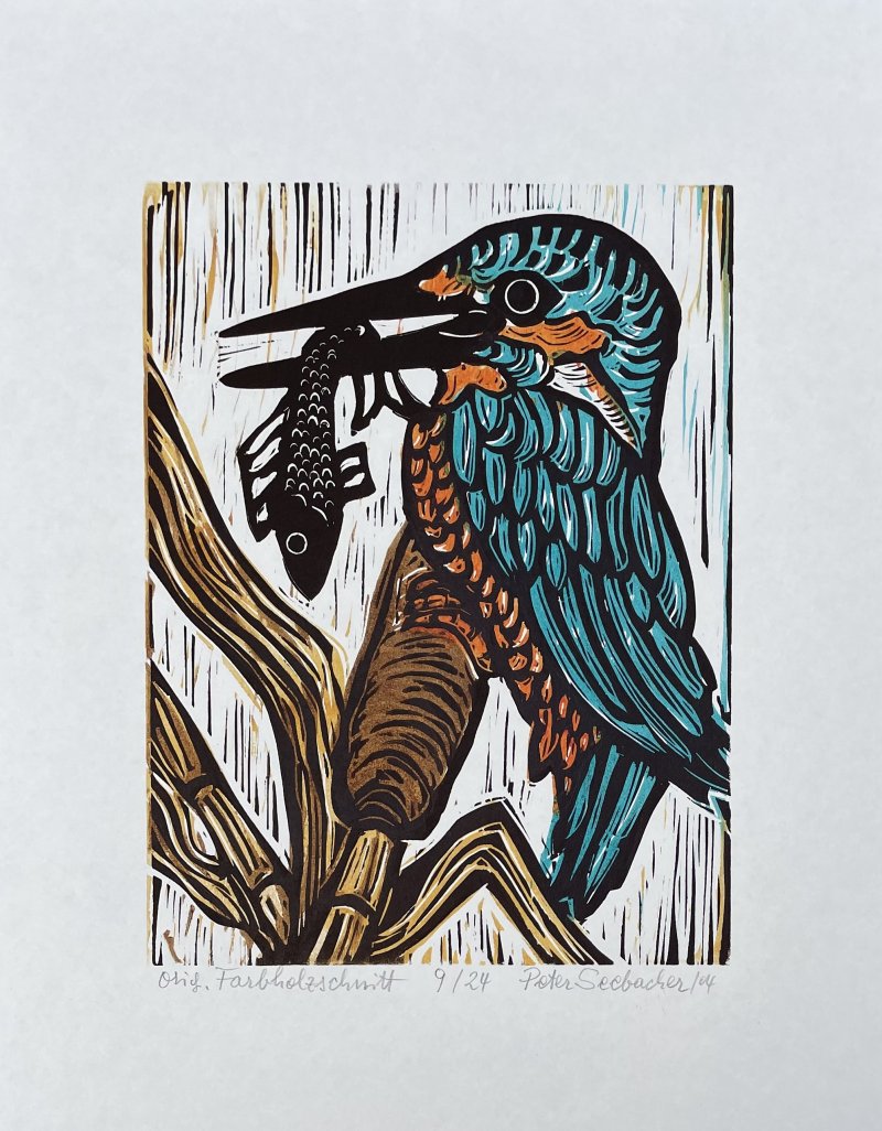 Seebacher Peter - Eisvogel 