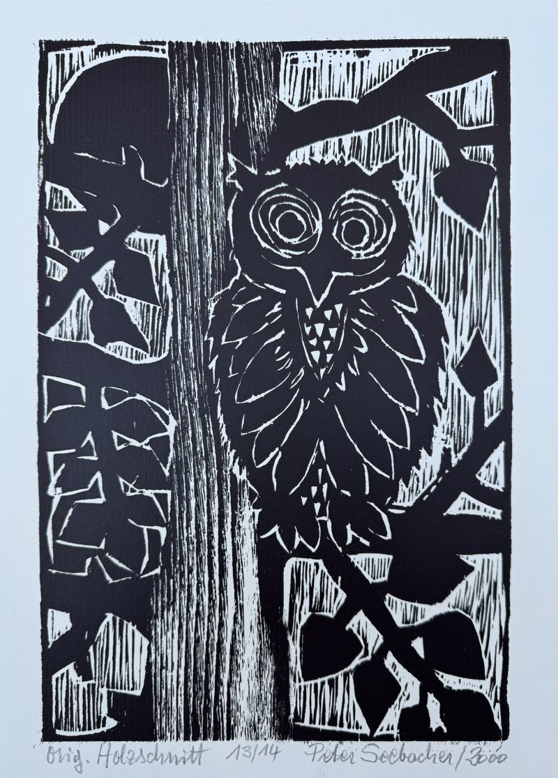 Seebacher Peter - Eule im Baum