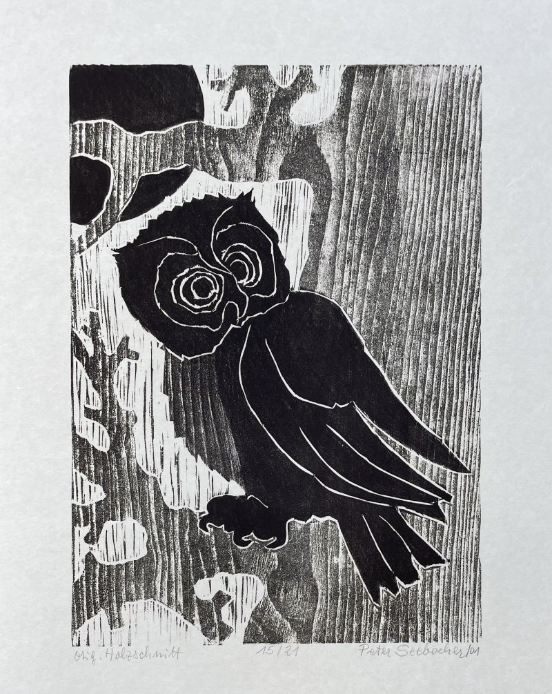 Seebacher Peter - Eule monochrom