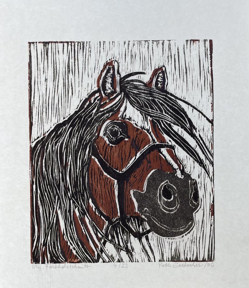Seebacher Peter - Haflinger