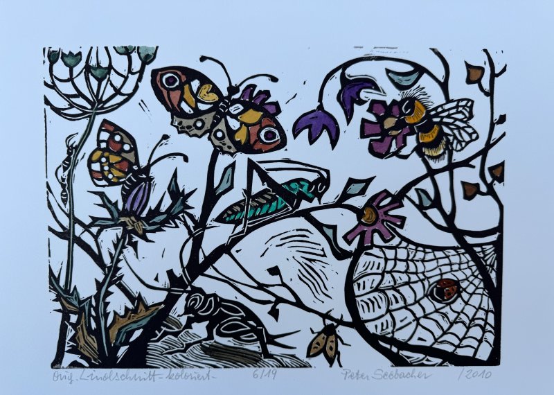 Seebacher Peter - Insekten