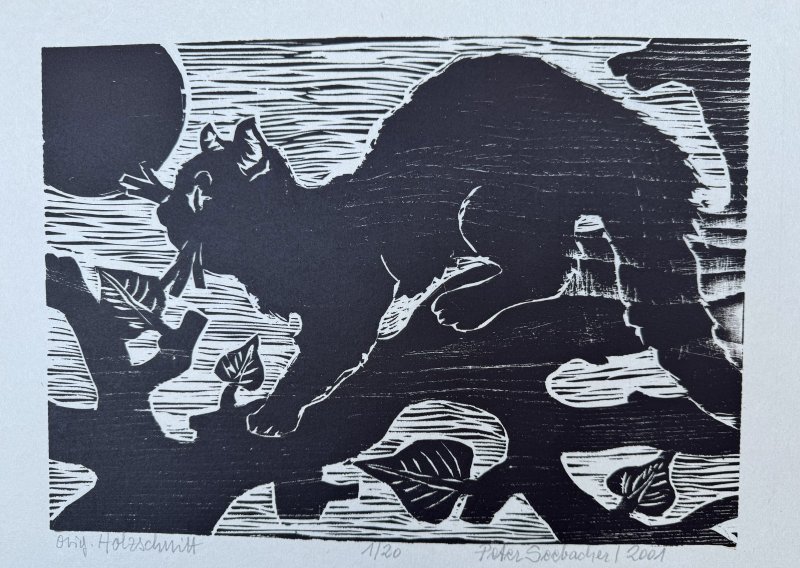 Seebacher Peter - Katze auf der Pirsch