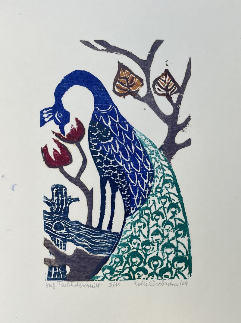 Seebacher Peter - Pfau II