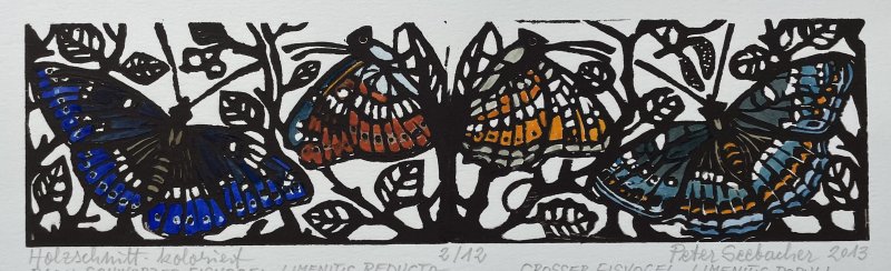 Seebacher Peter - Schmetterling Blau Grün