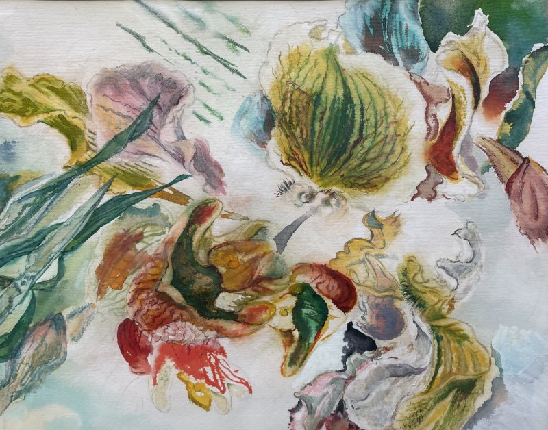 Wiedenhofer Peter - Blüten