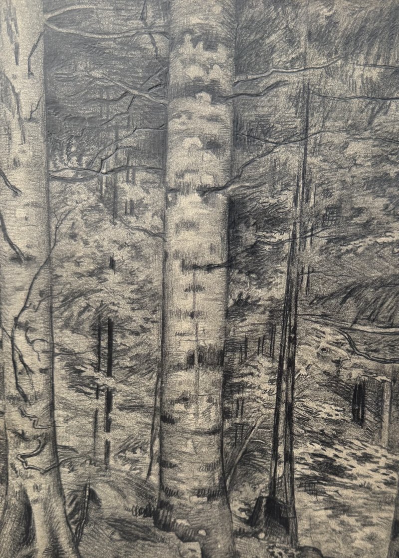 Wolff Richard - Kohlerer Wald
