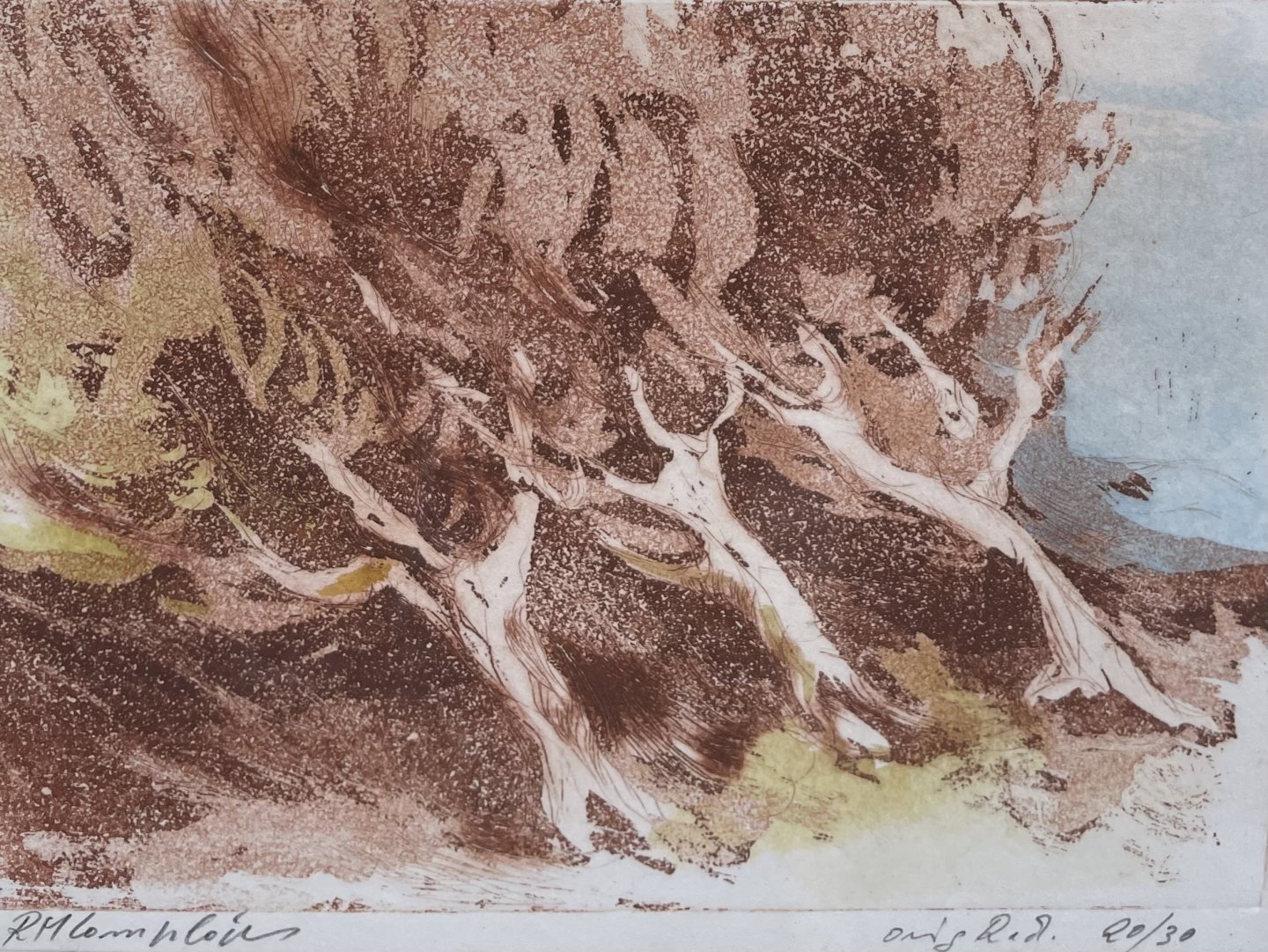 Complojer Rudolf Maria - Vinschger Wind