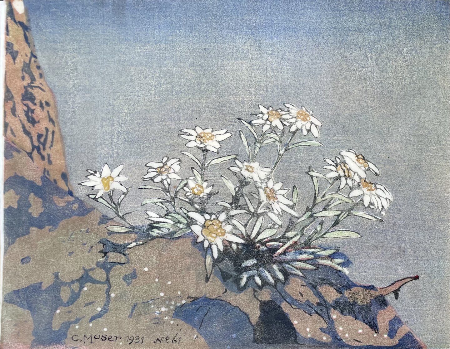 Moser Carl - Edelweiss