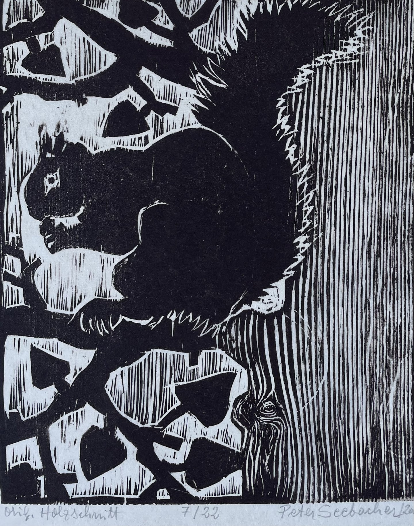 Seebacher Peter - Das Eichhörnchen